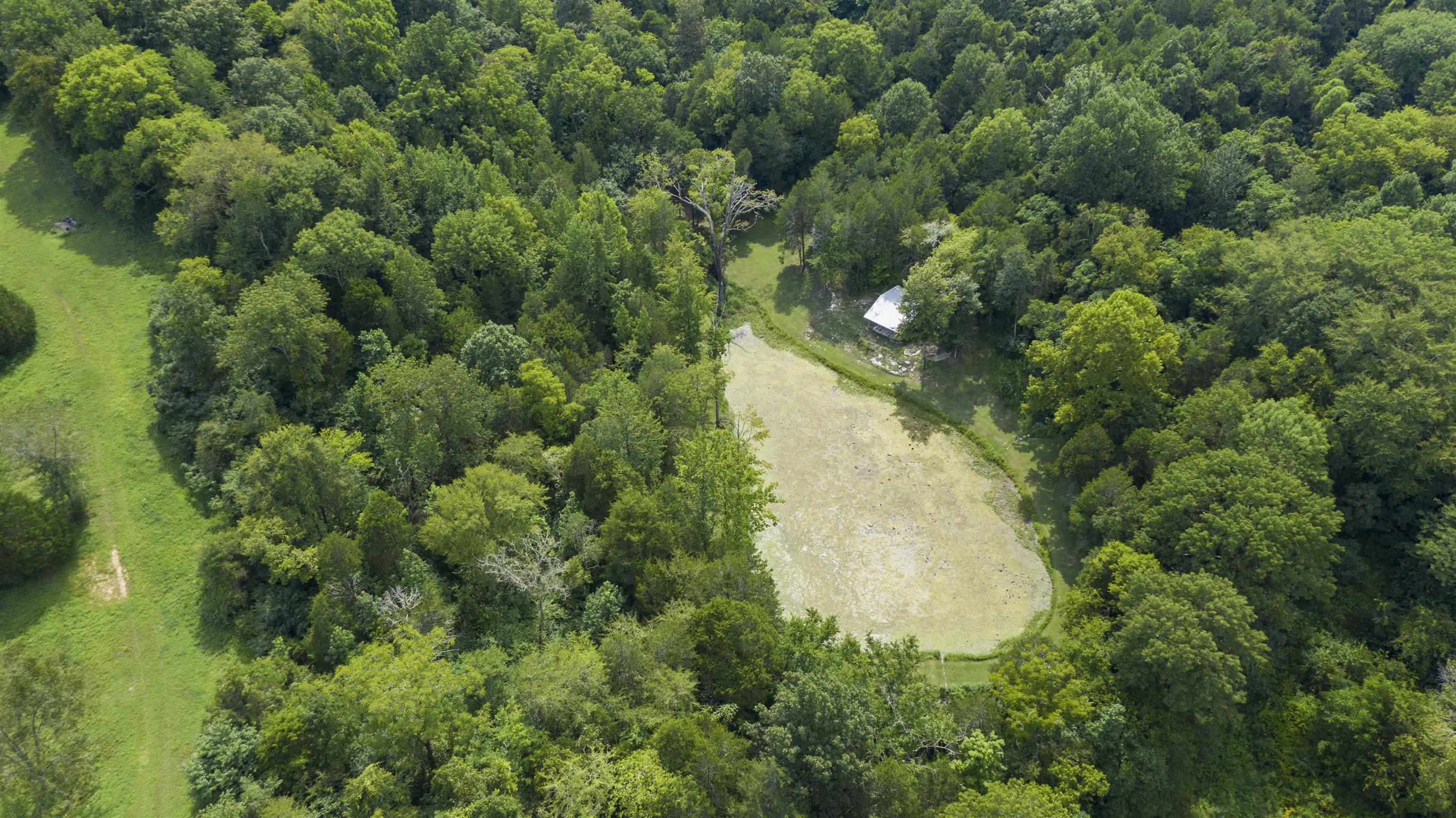 4449 Beasleys Bend Road Lebanon, TN 37087 - Photo 15 of 22 a view of a house in a forest