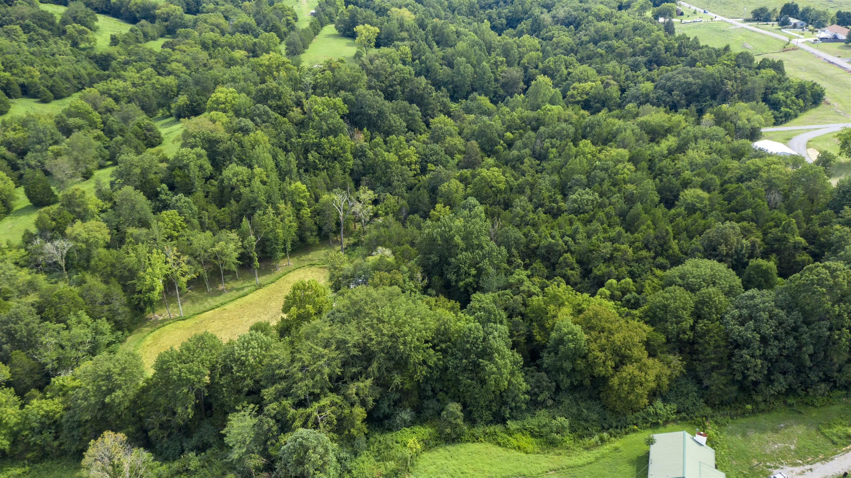 4449 Beasleys Bend Road Lebanon, TN 37087 - Photo 19 of 22 a view of a lush green forest with a park