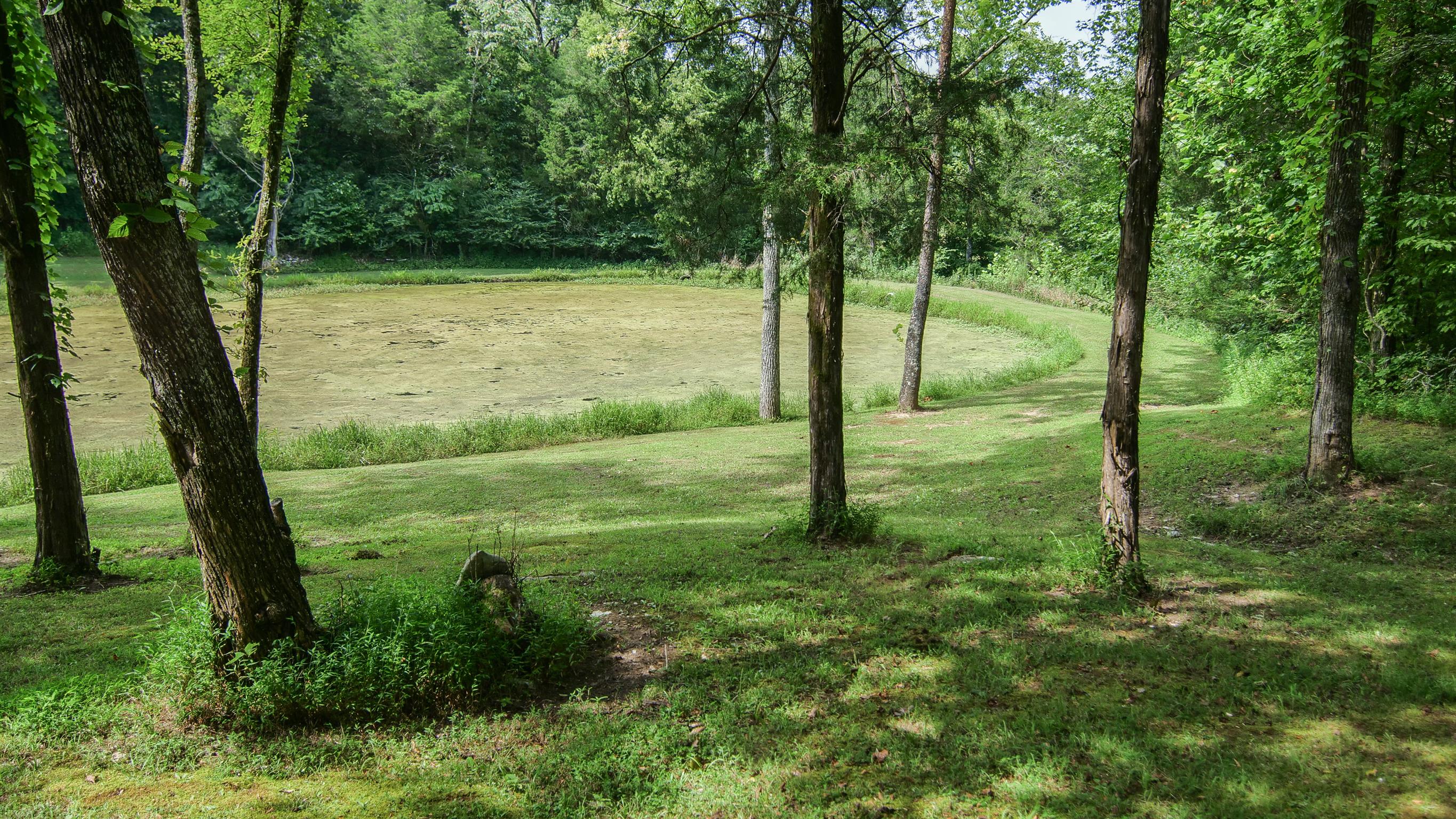 4449 Beasleys Bend Road Lebanon, TN 37087 - Photo 3 of 22 a view of a garden with a tree