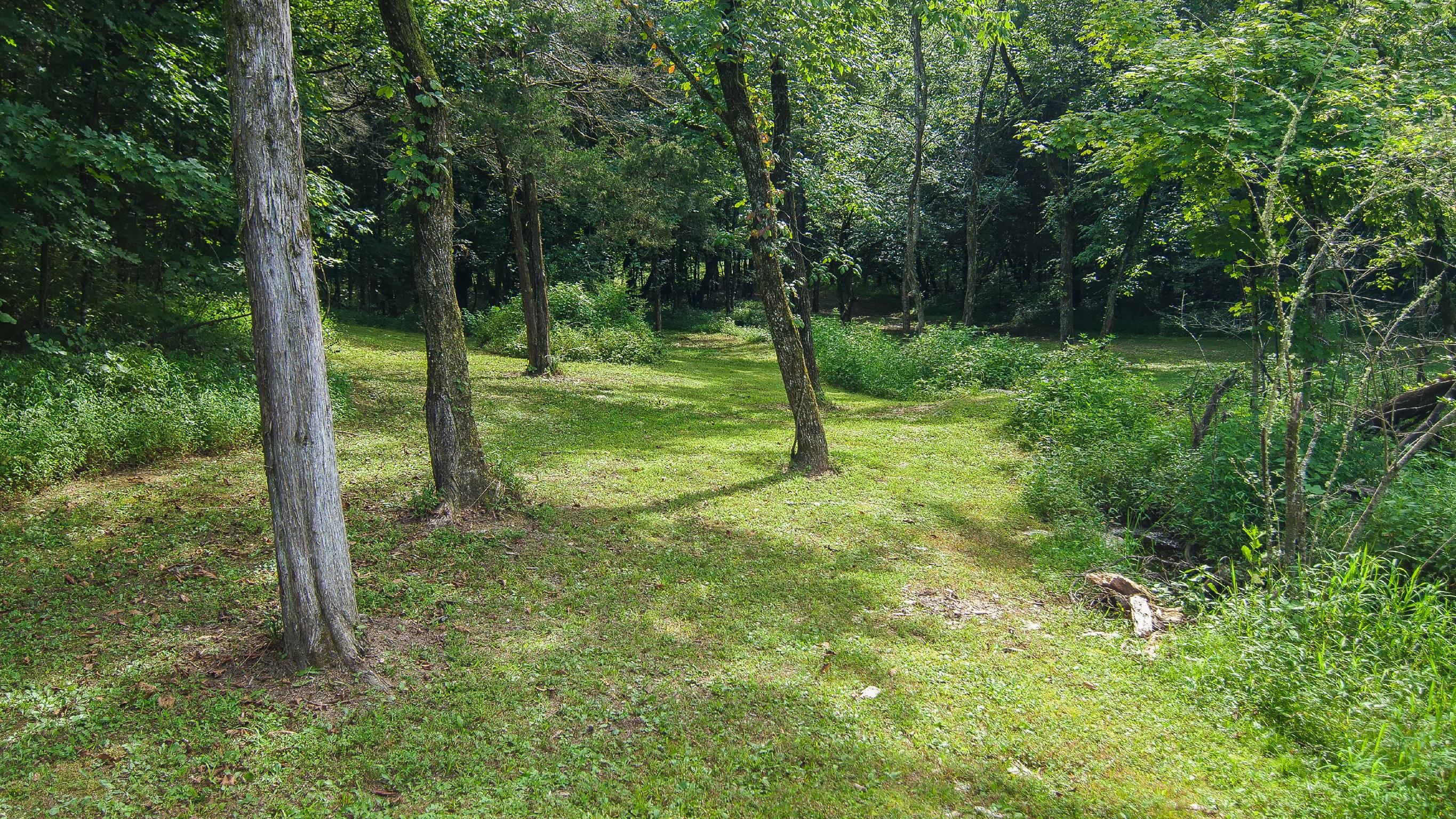 4449 Beasleys Bend Road Lebanon, TN 37087 - Photo 4 of 22 a view of a garden