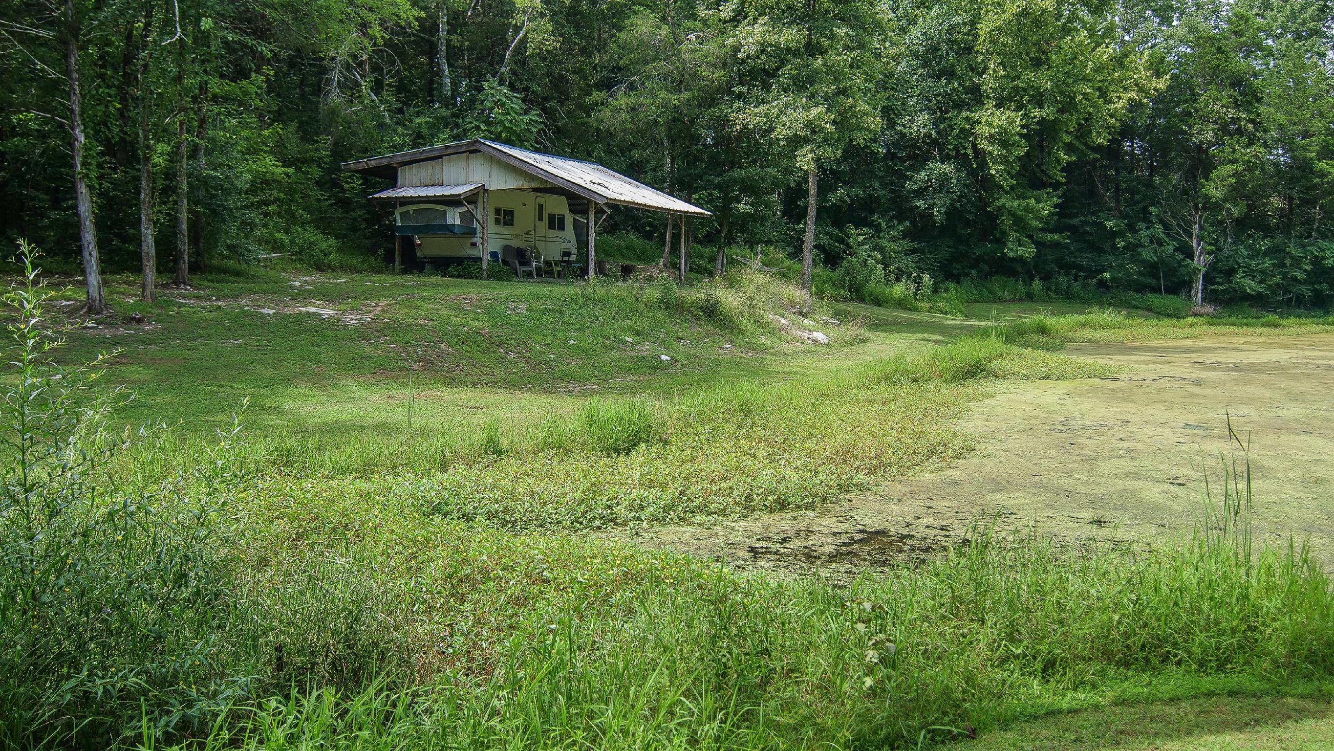4449 Beasleys Bend Road Lebanon, TN 37087 - Photo 5 of 22 a view of a wooden house with a big yard and large trees