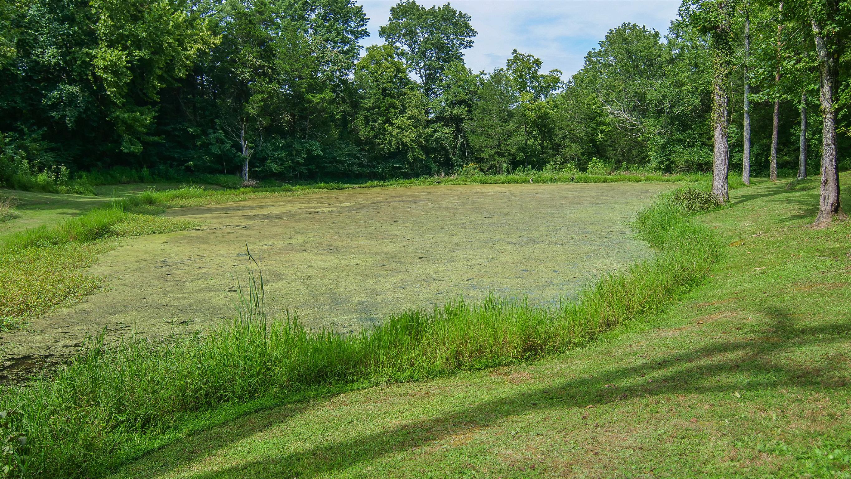 4449 Beasleys Bend Road Lebanon, TN 37087 - Photo 6 of 22 a view of a grassy field with trees