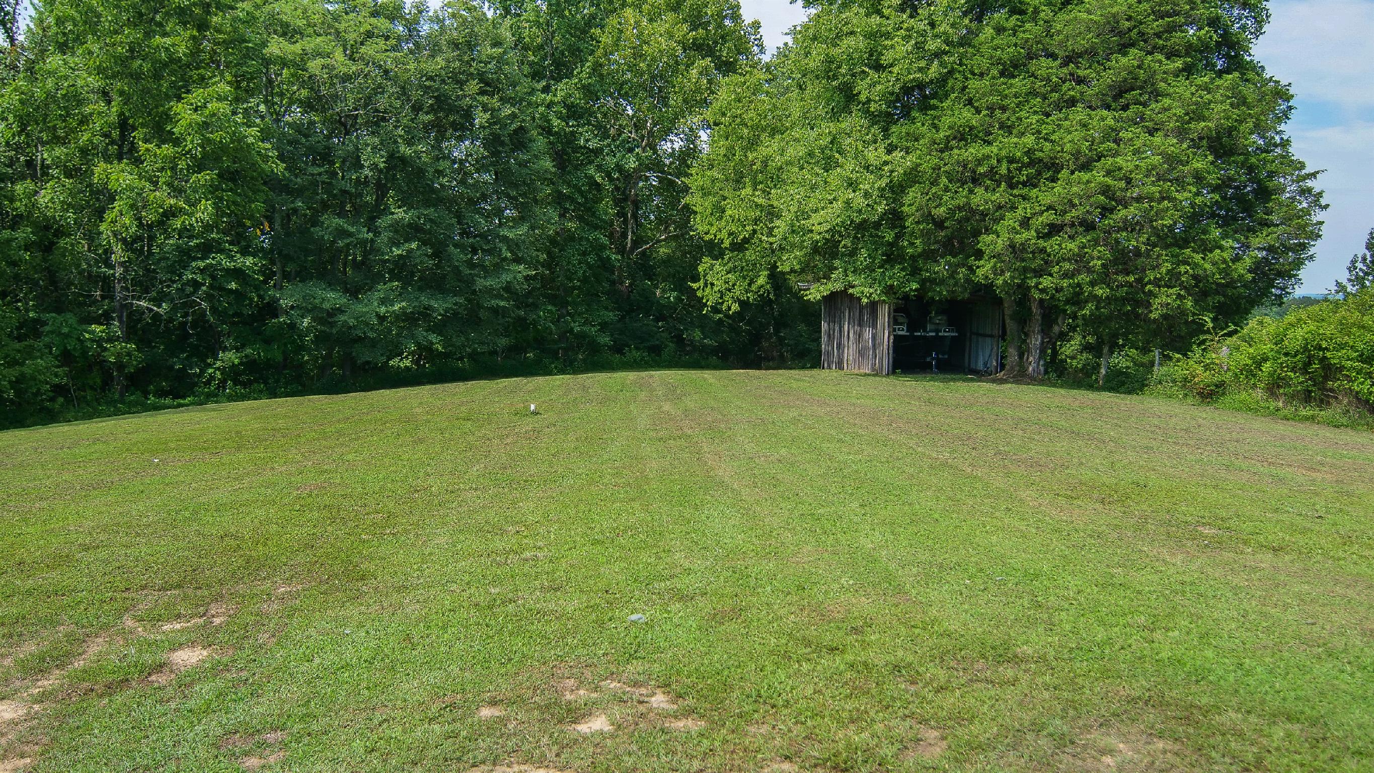 4449 Beasleys Bend Road Lebanon, TN 37087 - Photo 7 of 22 a view of a big yard with large trees