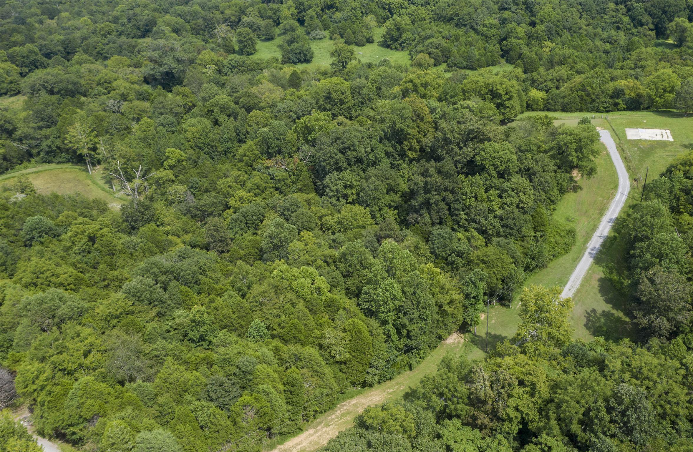 4449 Beasleys Bend Road Lebanon, TN 37087 - Photo 10 of 22 a view of a forest with a houses