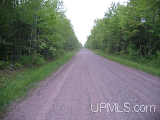 Tbd Post Road, Unit PARCEL 5 Lake Linden, MI 49945 - Photo 4 of 6 Gallery Image 4