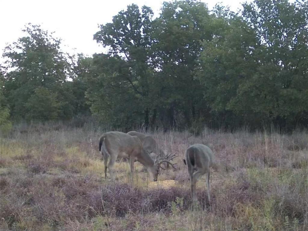1685 Rocky Mound Road Graham, TX 76450 - Photo 38 of 40 Gallery Image 38