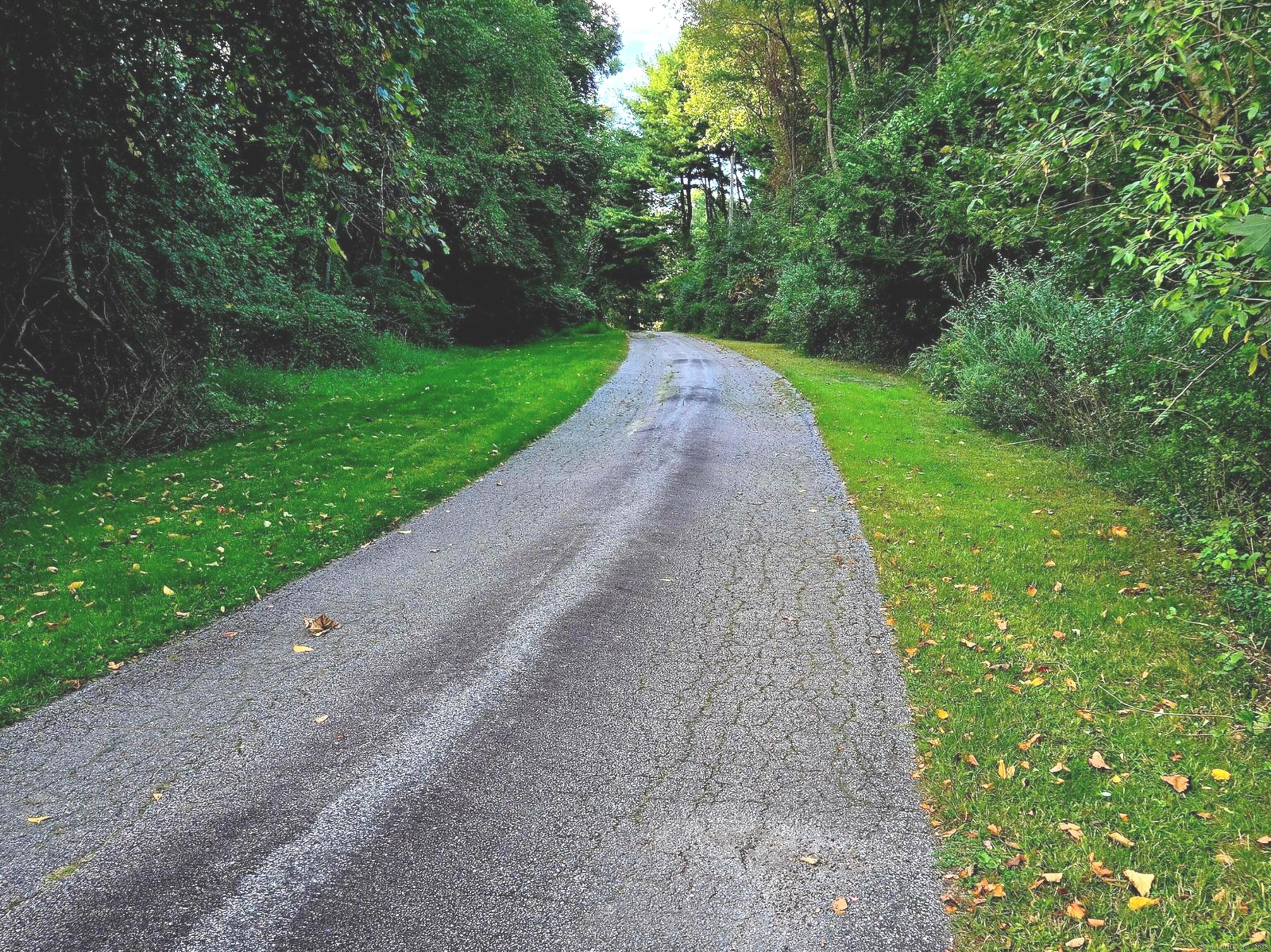 181 Mack Road Lebanon, CT 06249 - Photo 2 of 40 Driveway