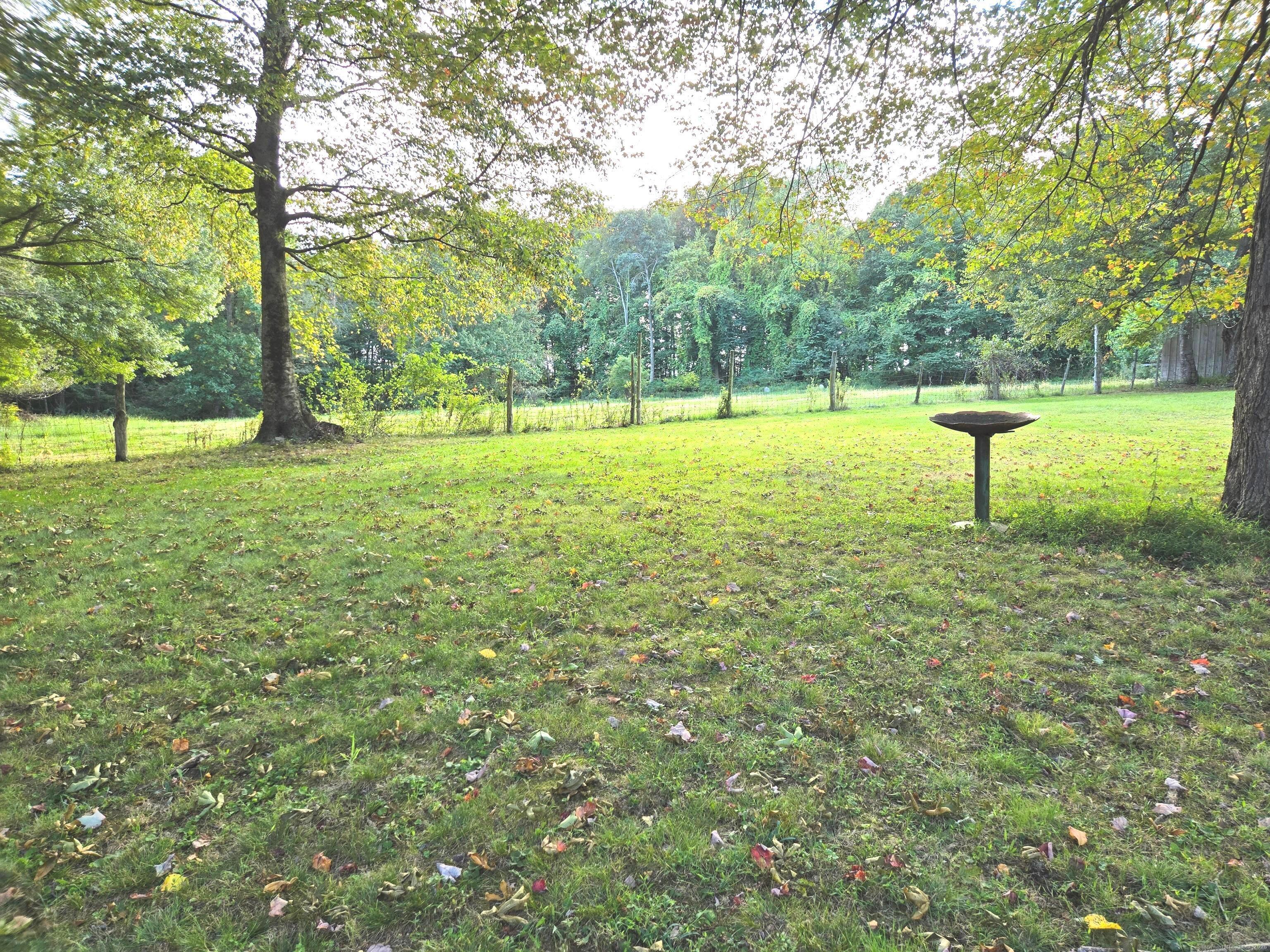 181 Mack Road Lebanon, CT 06249 - Photo 4 of 40 Side Yard