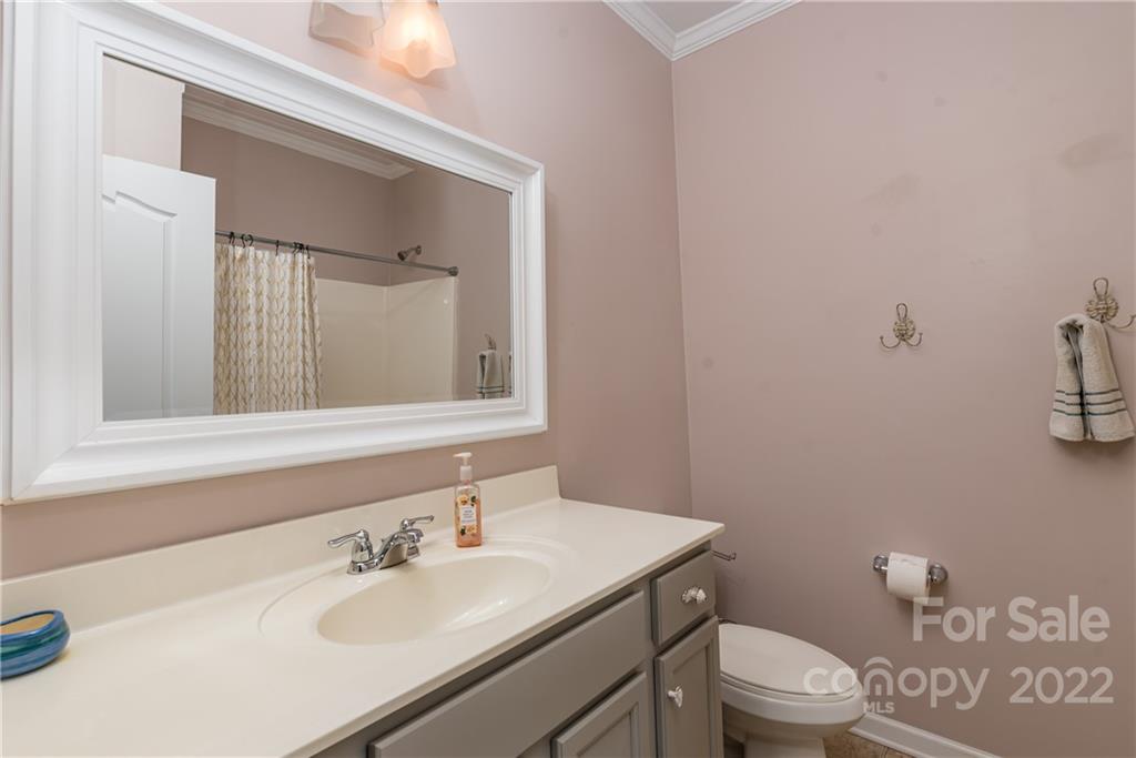 1235 Gold Rush Court Fort Mill, SC 29708 - Photo 35 of 42 a bathroom with a sink a toilet and mirror