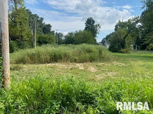 $9,900 | 802 Joplin Street, Benton, IL 62812