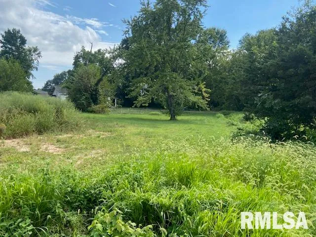 $9,900 | 802 Joplin Street, Benton, IL 62812