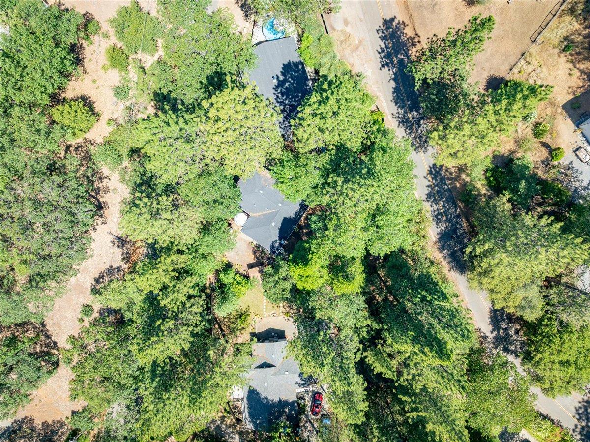 2939 Letitia Avenue Placerville, CA 95667 - Photo 58 of 59