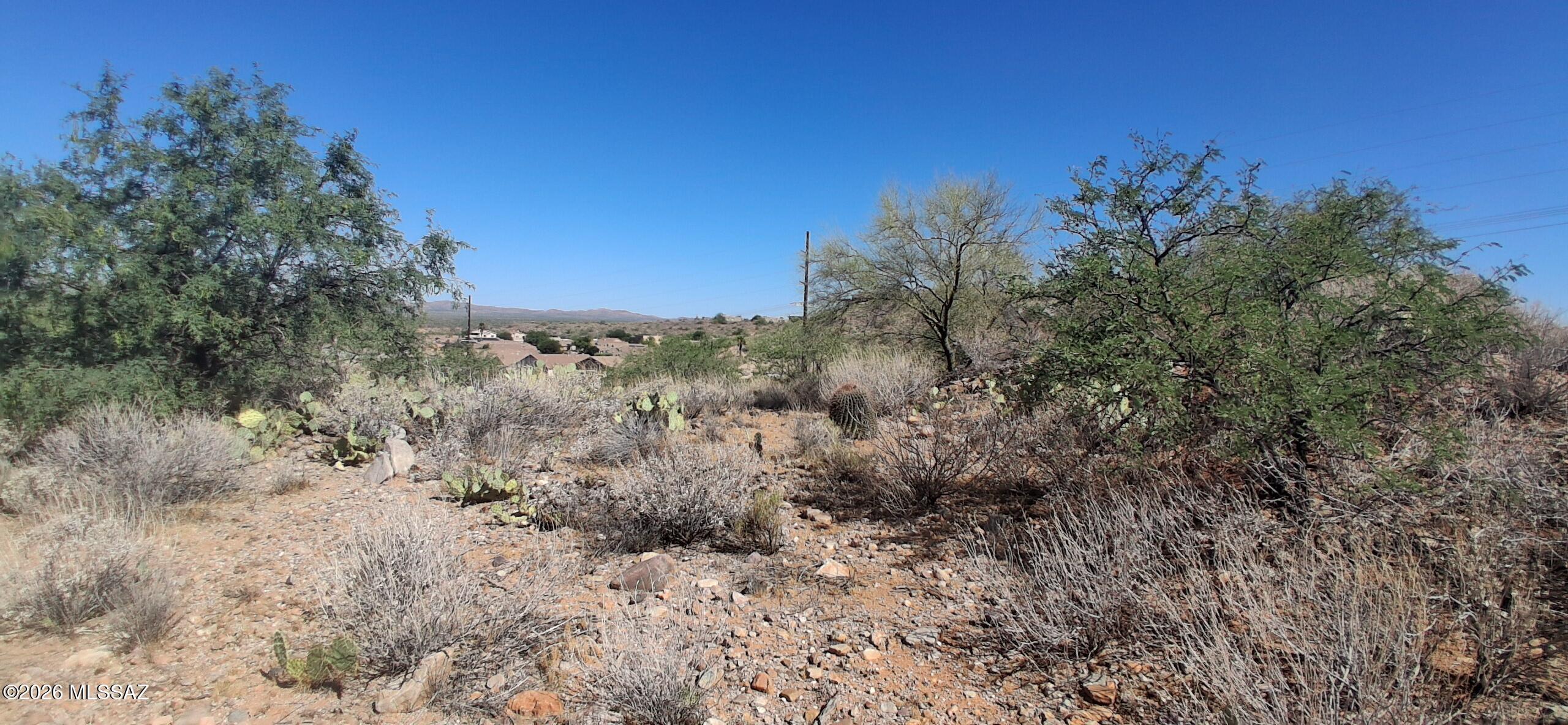 3630 East Edwin Road Tucson, AZ 85739 - Photo 4 of 6 a view of a field