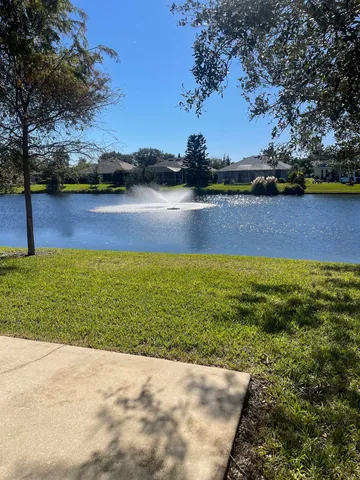 a view of large trees with a big yard