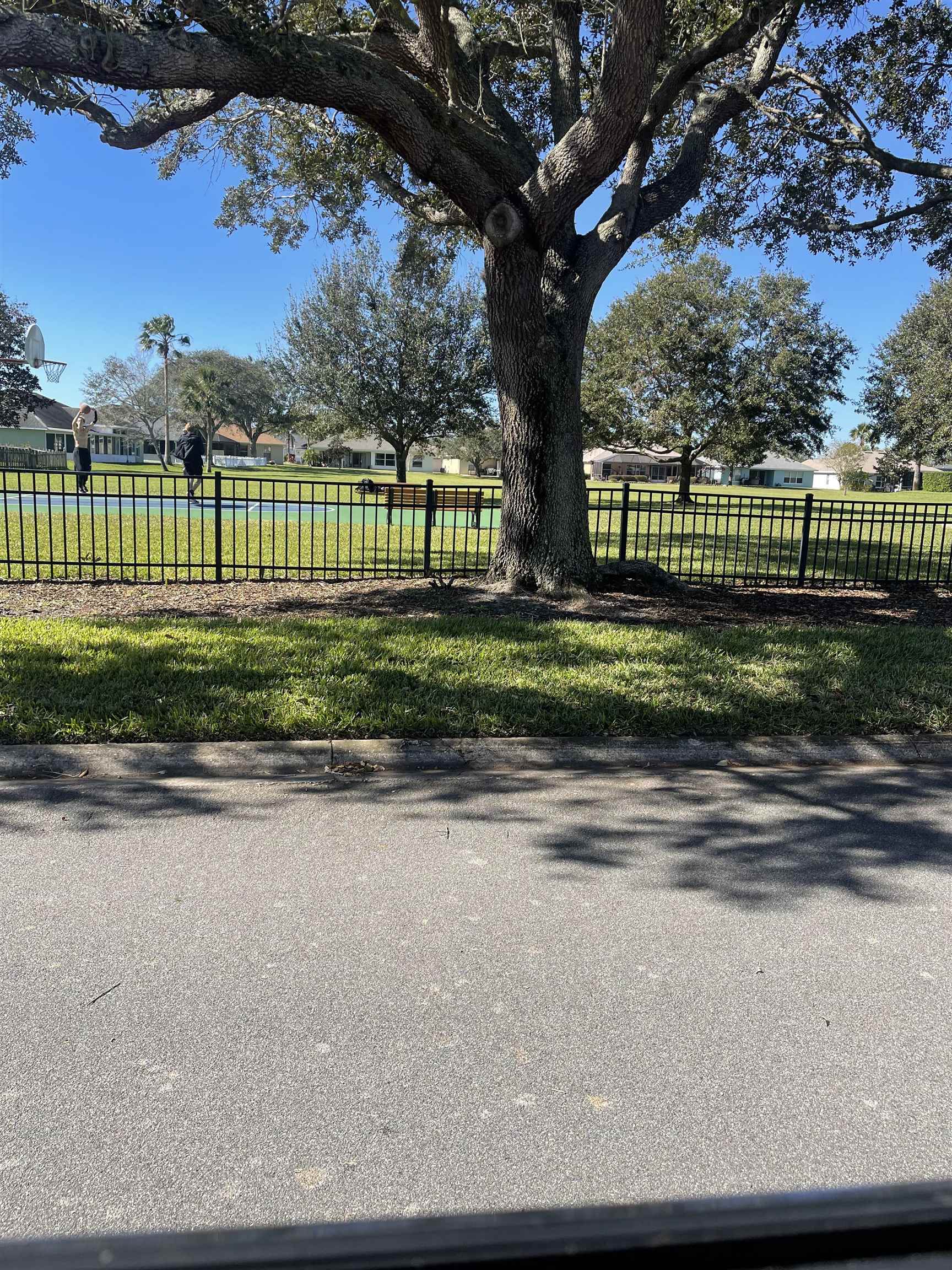 1113 Compass Row St. Augustine, FL 32080 - Photo 29 of 29 a view of a yard in front of a house with a large trees