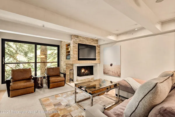 a living room with furniture and a fireplace