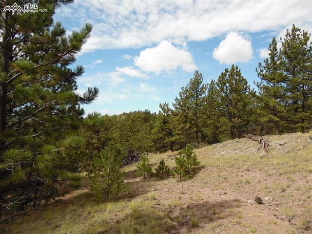 50 A Road Guffey, CO 80820 - Photo 3 of 24
