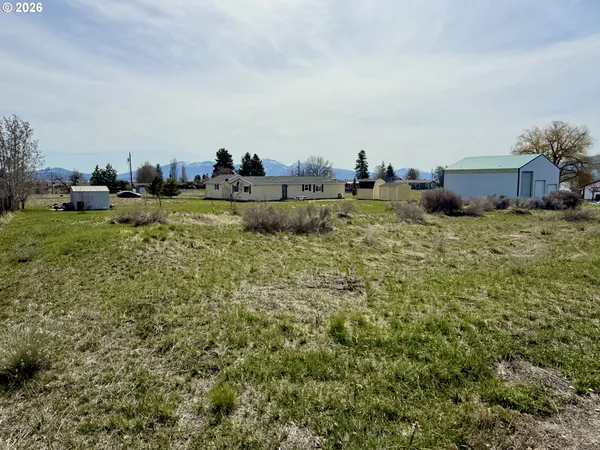a view of a town with large trees