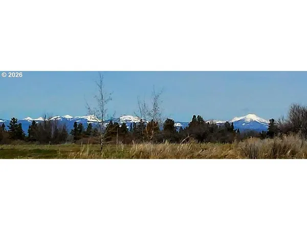 a black and white photo of a field