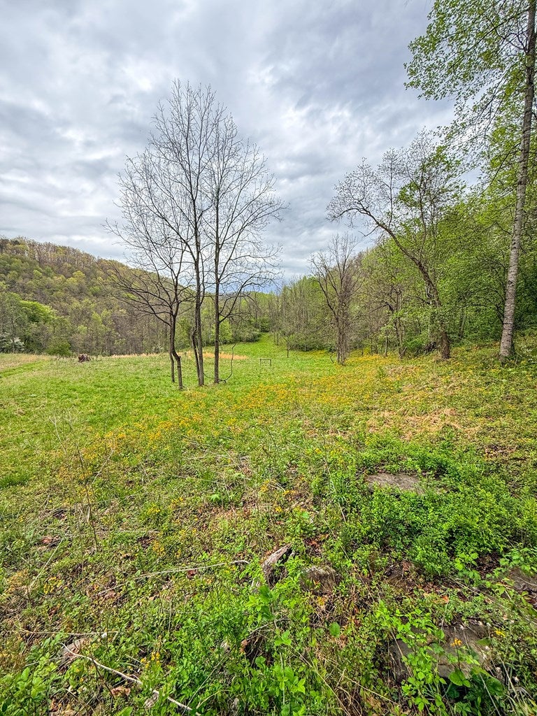 2789 Dry Fork Road, Unit 10 Bandy, VA 24602 - Photo 19 of 59 Gallery Image 19
