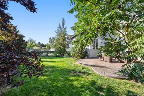 a view of a yard with plants and large trees