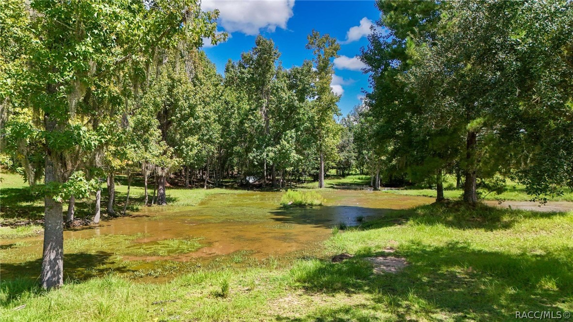 9759 South Pleasant Grove Road Inverness, FL 34452 - Photo 88 of 90 Gallery Image 88