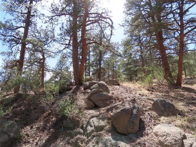 165 West Platte Road Lake George, CO 80827 - Photo 25 of 27