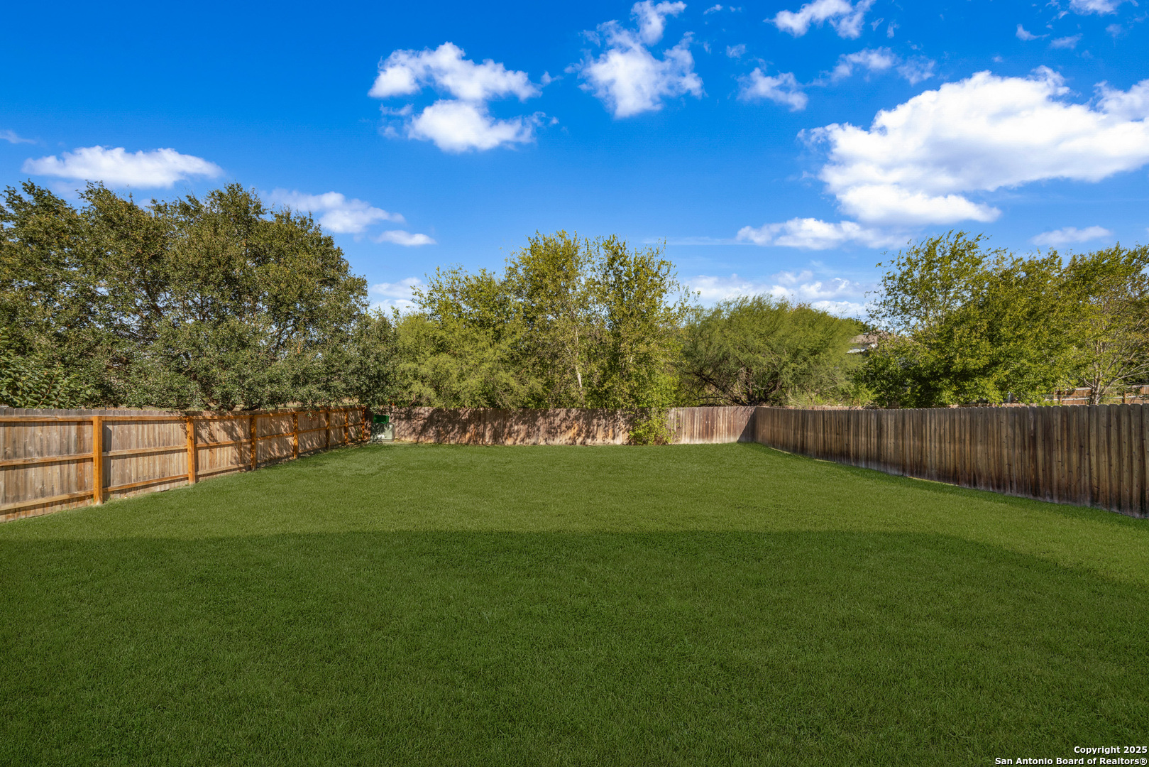 9619 Copper Spring Converse, TX 78109 - Photo 31 of 31 a view of a big yard with a large tree
