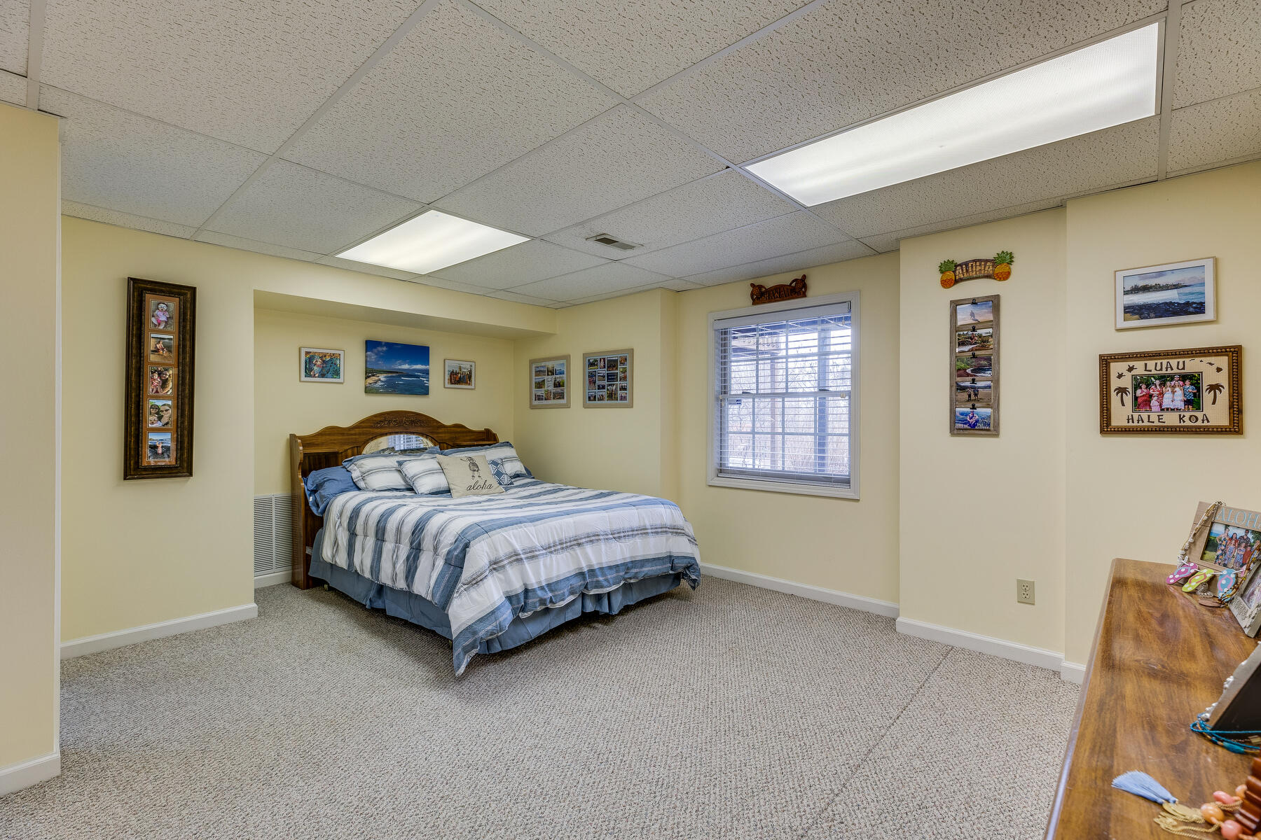 238 Union Church Road Jonesborough, TN 37659 - Photo 38 of 55 Bedroom 4 lower level