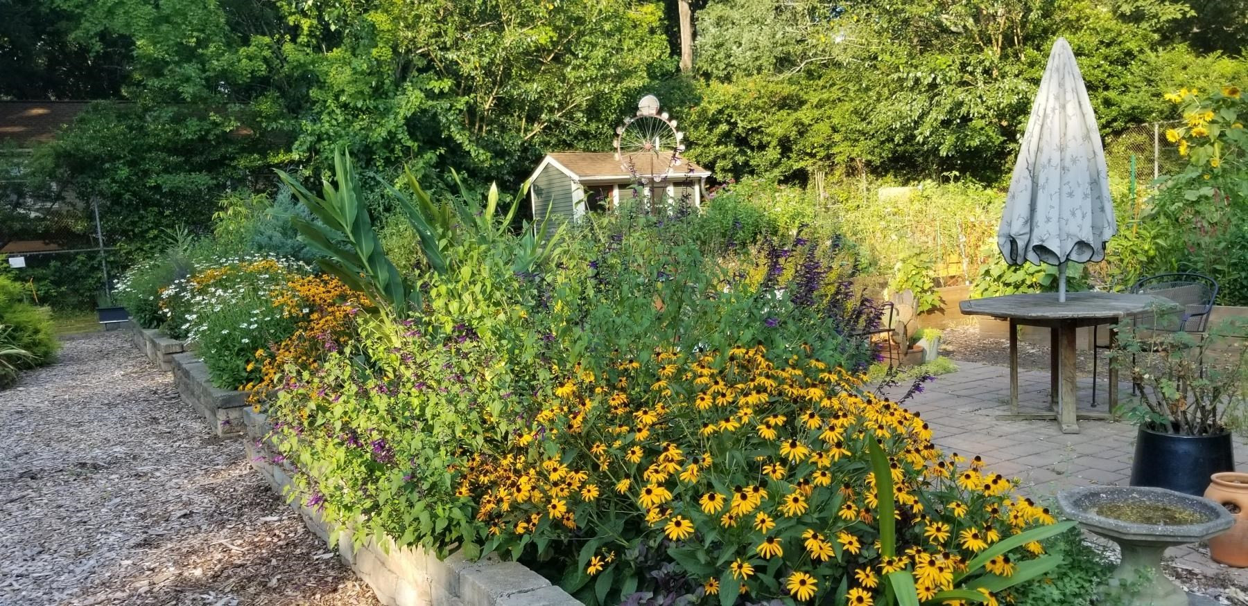 1809 Falls Church Road Raleigh, NC 27609 - Photo 54 of 56 Beautiful community garden!!