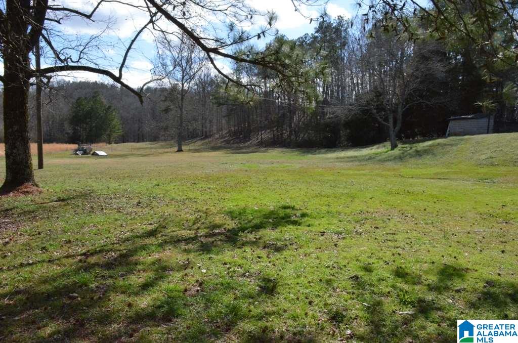 6477 Berney Station Road Talladega, AL 35160 - Photo 15 of 50