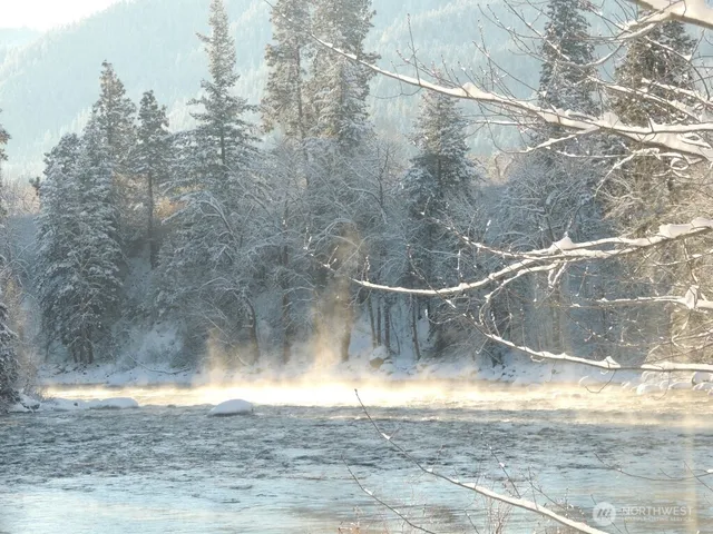 a view of yard with swimming pool