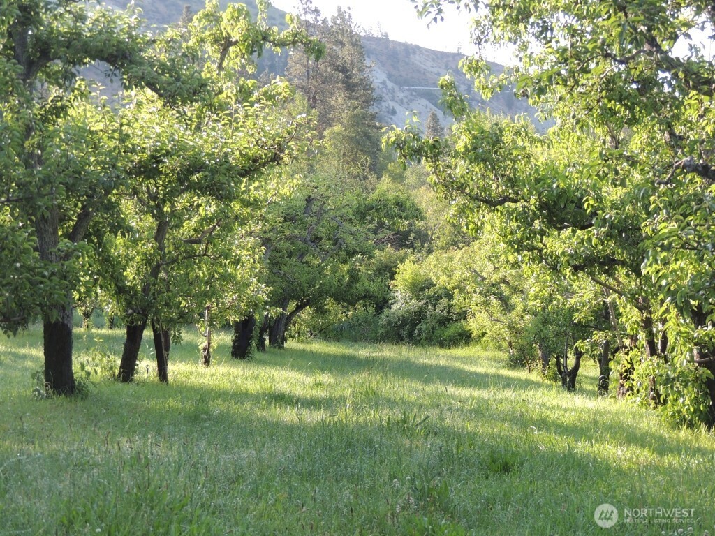 9291 Pakascwa Road Peshastin, WA 98847 - Photo 27 of 38 a view of outdoor space with trees all around