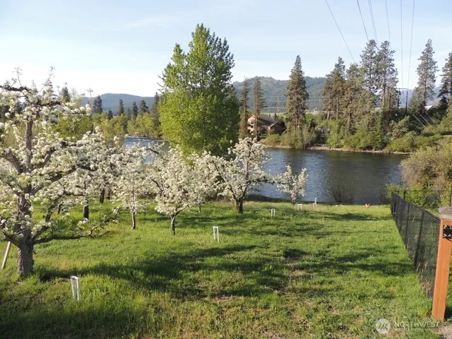 a view of a yard with a tree