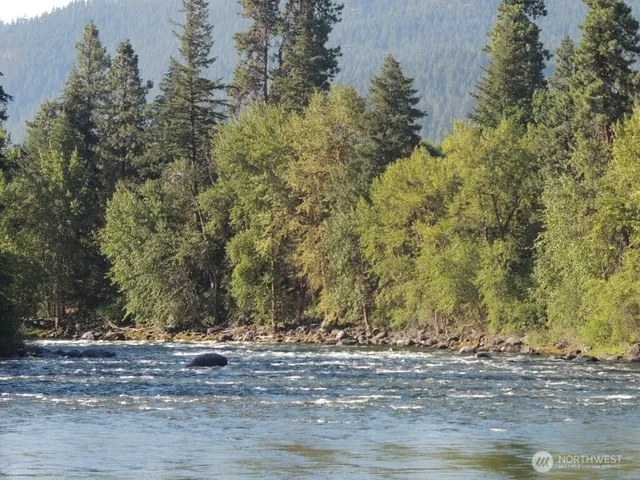 a view of a yard with trees