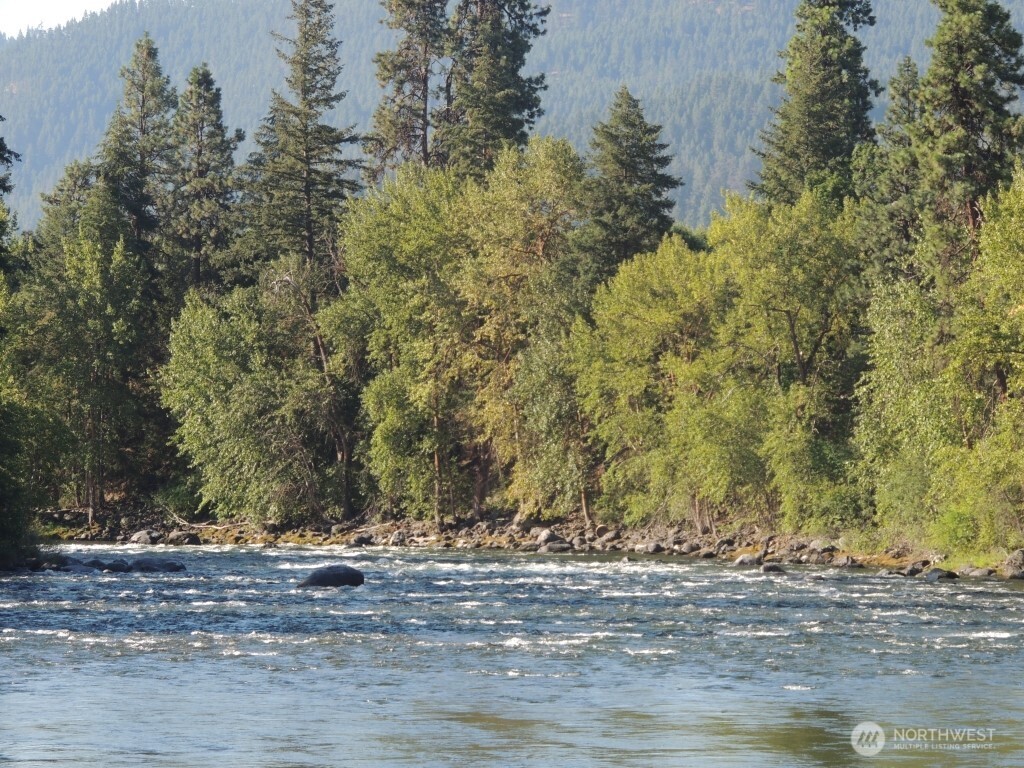 9291 Pakascwa Road Peshastin, WA 98847 - Photo 6 of 38 a view of a yard with trees