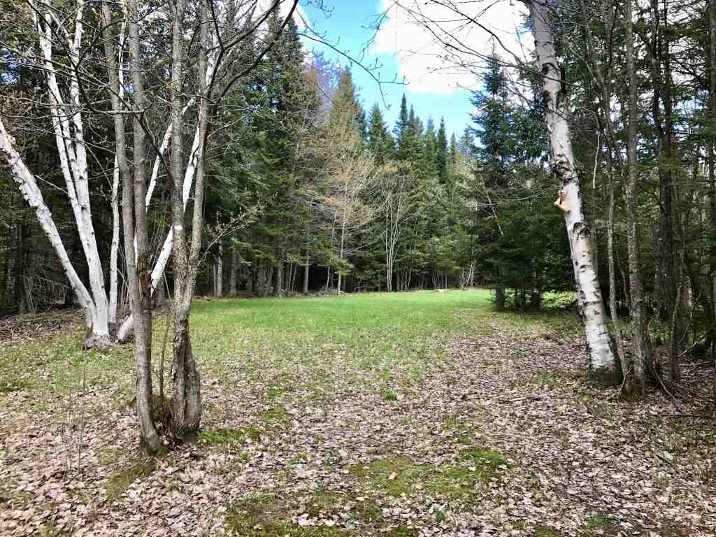 37 Creampoke Road Stewartstown, NH 03576 - Photo 23 of 36 Gallery Image 23