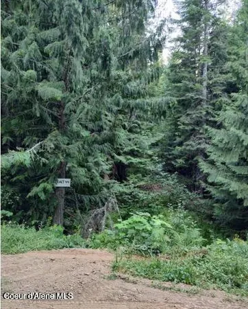 $65,000 | 317 East Ridge Road, St. Maries, ID 83861