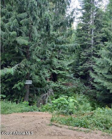 20250905220730786844000000-o