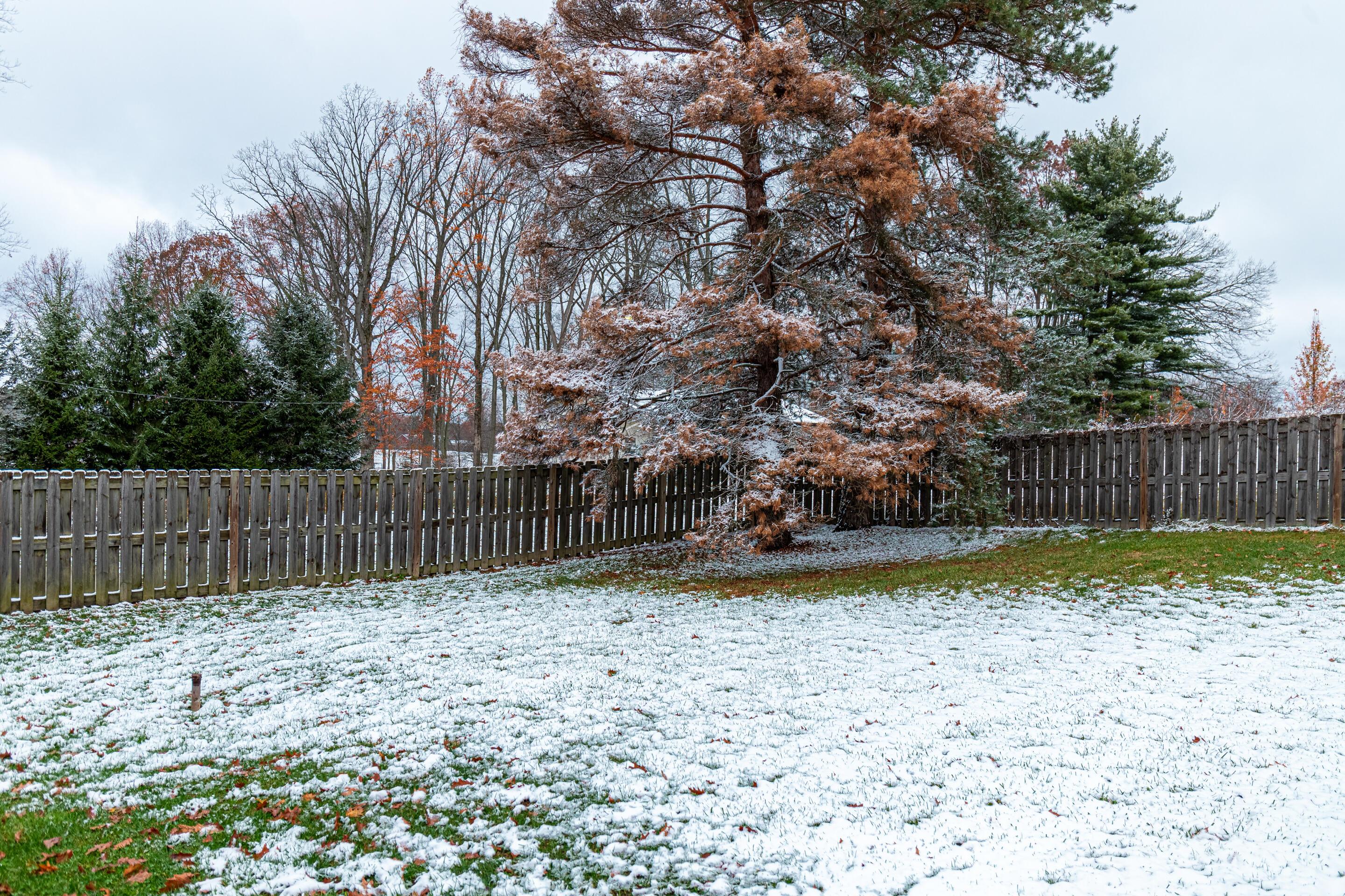 4454 Flowers Road Mansfield, OH 44903 - Photo 24 of 38 IMG-15