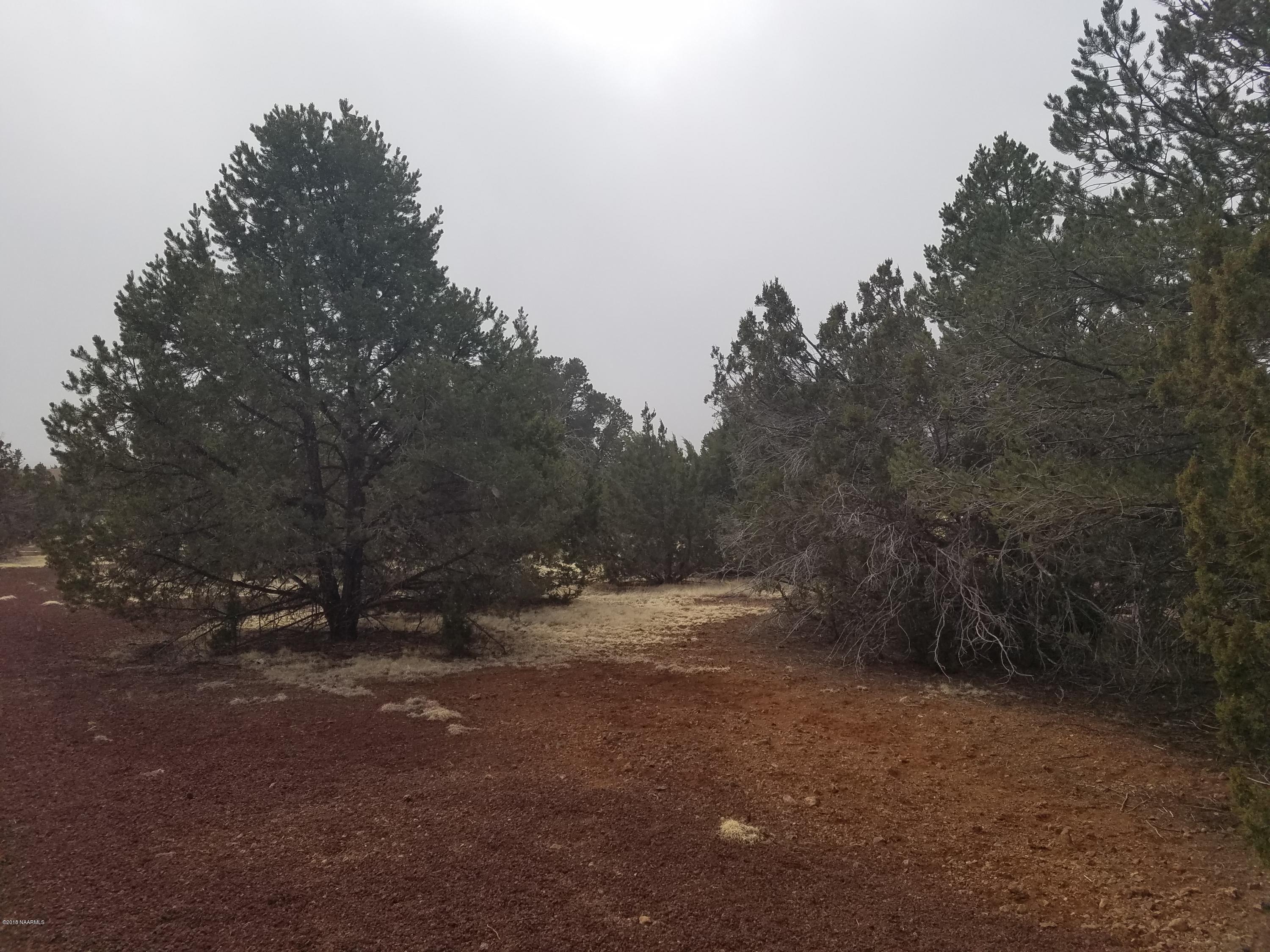 1402 East Barbara Road Williams, AZ 86046 - Photo 3 of 9 20180212_115519