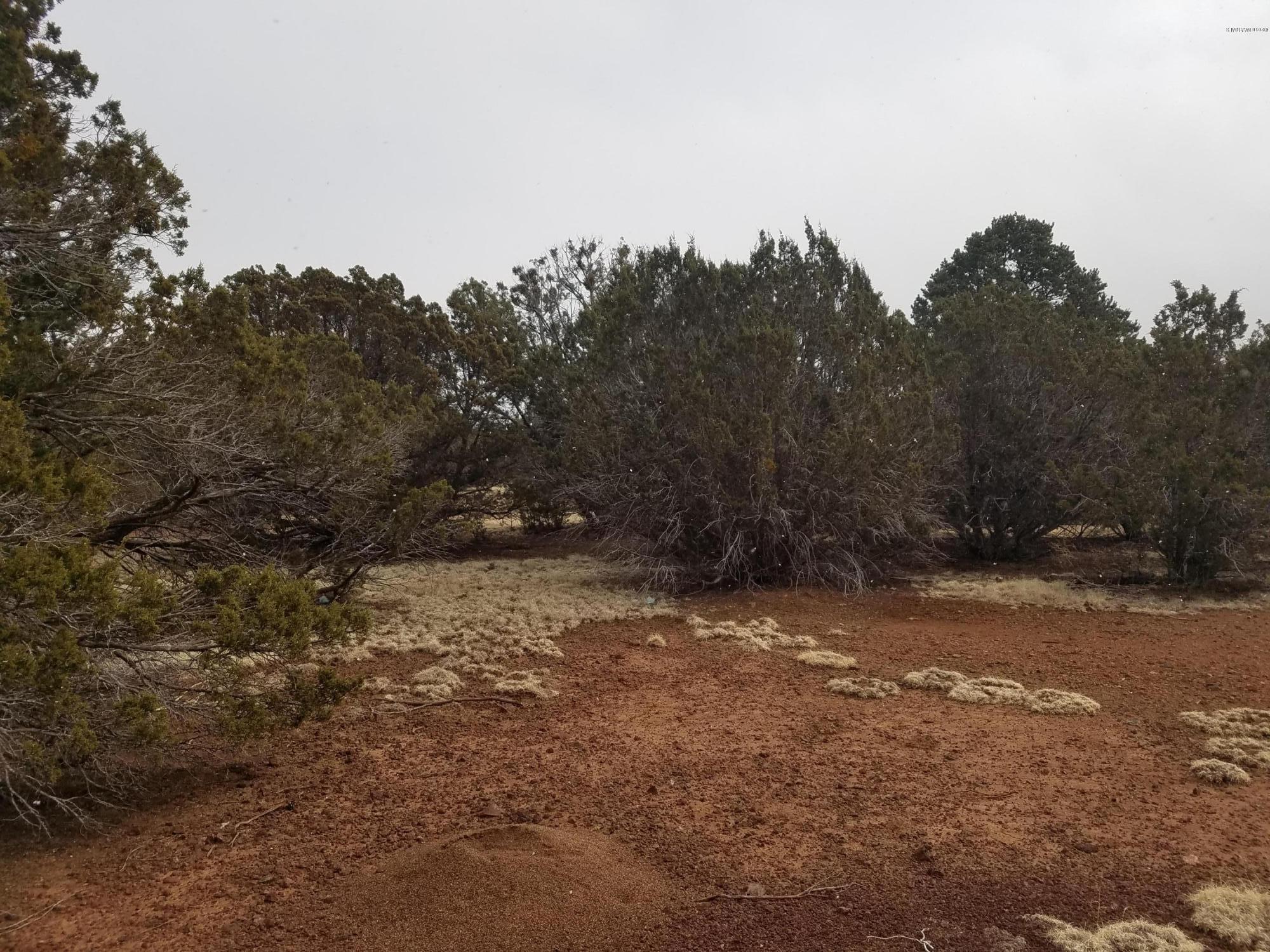 1402 East Barbara Road Williams, AZ 86046 - Photo 7 of 9 20180212_115746 (1)