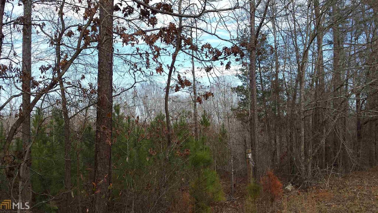0 Post Road, Unit 32AC Monticello, GA 31064 - Photo 1 of 1