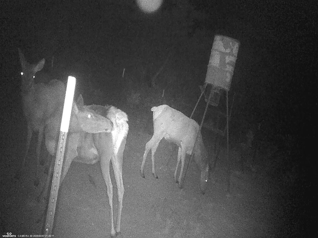 204 Wilson Ranch Road Hunt, TX 78024 - Photo 29 of 61 a close view of tap