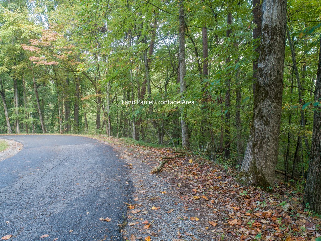 1003 Sun Rock Mountain Road Blue Ridge, GA 30513 - Photo 27 of 36 Gallery Image 27