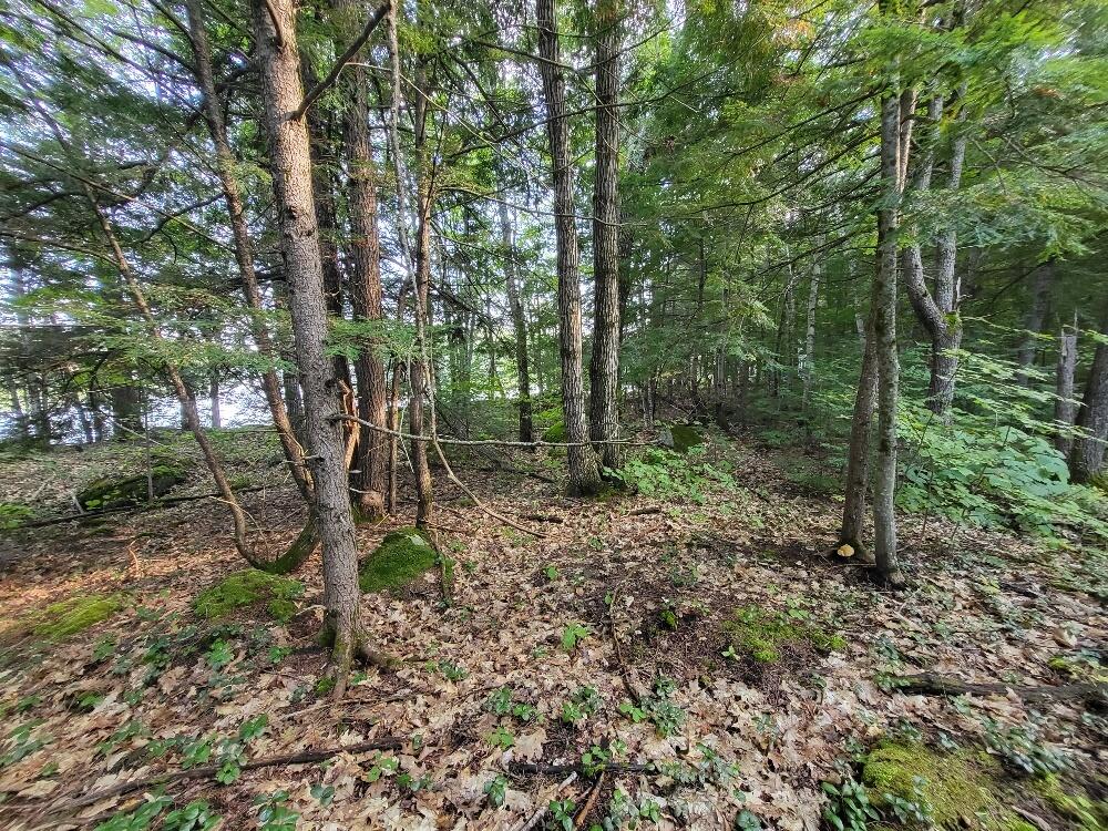 348 Sand Pond Road Chesterville, ME 04938 - Photo 11 of 16 20220907_163931_resized