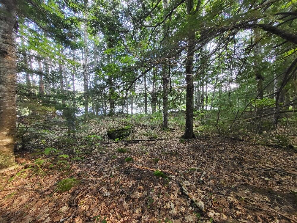 348 Sand Pond Road Chesterville, ME 04938 - Photo 12 of 16 20220907_163939_resized