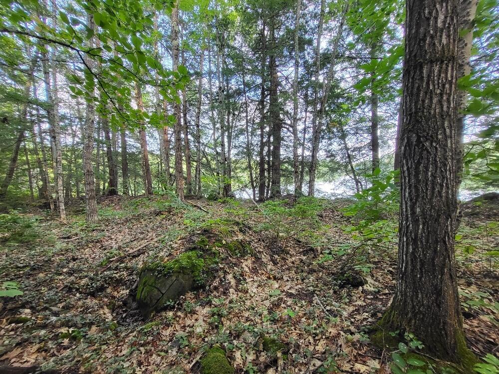 348 Sand Pond Road Chesterville, ME 04938 - Photo 14 of 16 20220907_165511_resized