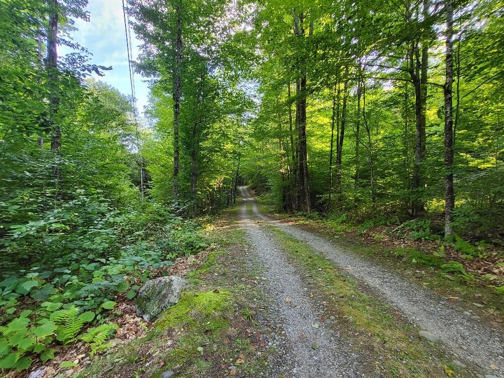 348 Sand Pond Road Chesterville, ME 04938 - Photo 15 of 16 20220907_163252_resized