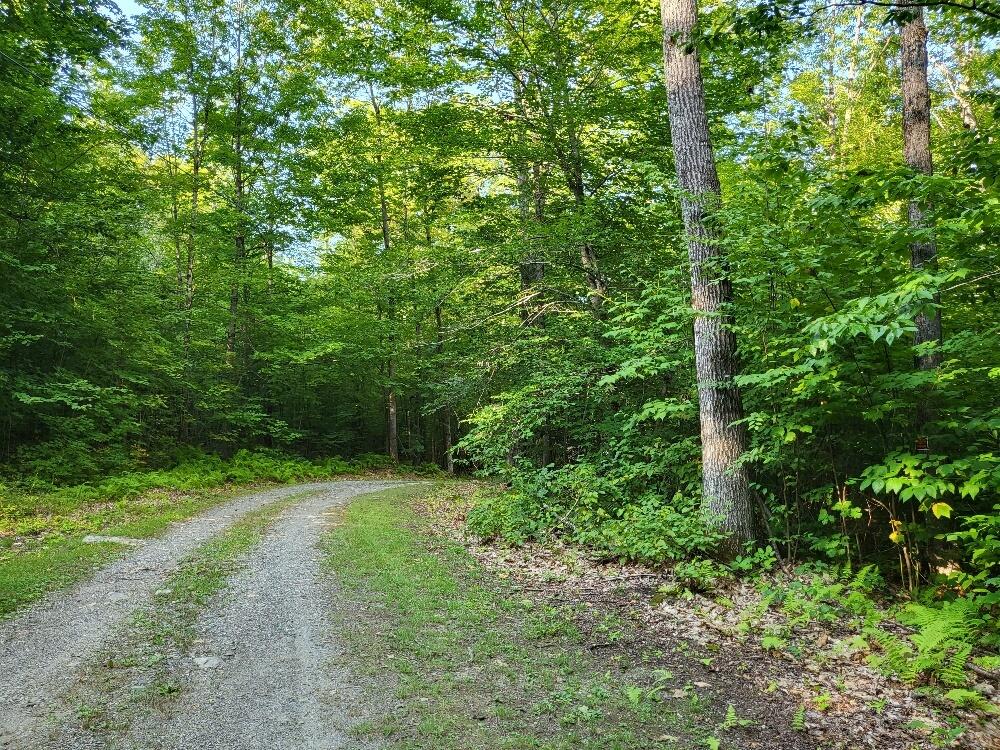 348 Sand Pond Road Chesterville, ME 04938 - Photo 16 of 16 20220907_163312_resized